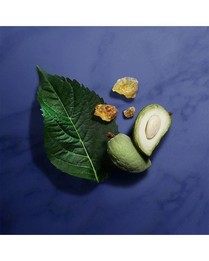 Giorgio Armani Armani Armani/Privé Indigo Tanzanite Eau de Parfum 3.4 oz. 5