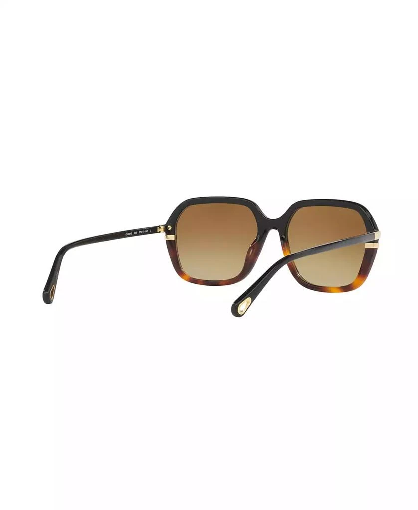 Chloé Women's Sunglasses, CH0204S 5