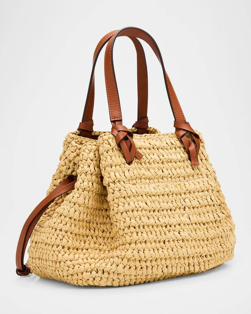 Ulla Johnson Gio Drawstring Raffia Crossbody Bag 3