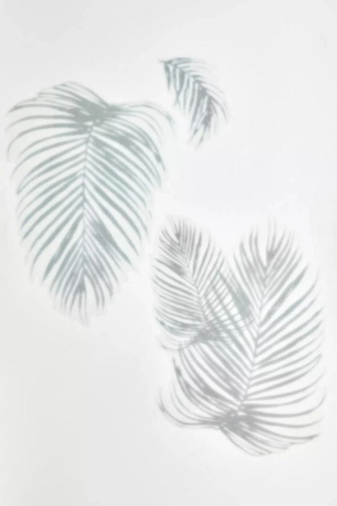 Urban Outfitters Palm Shadow Peel And Stick XL Giant Wall Decals 2