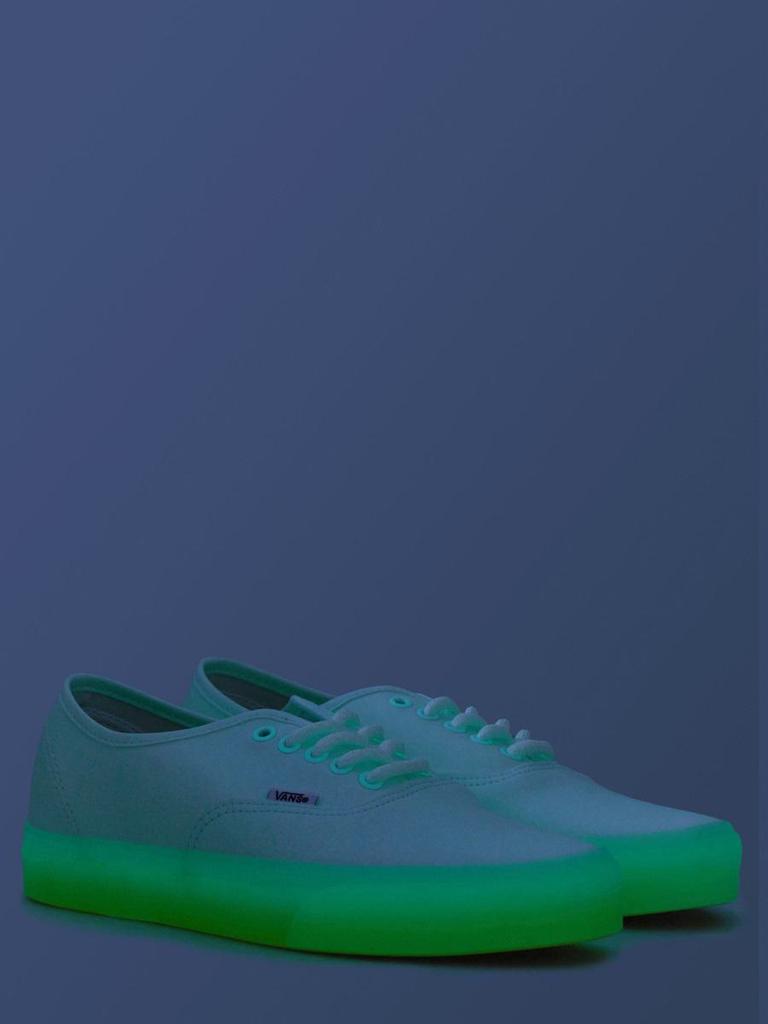 Vans Vans Authentic Sneaker
