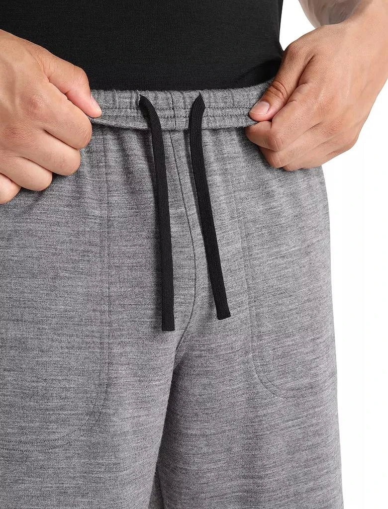 Icebreaker icebreaker Men's Merino Shifter Shorts 3