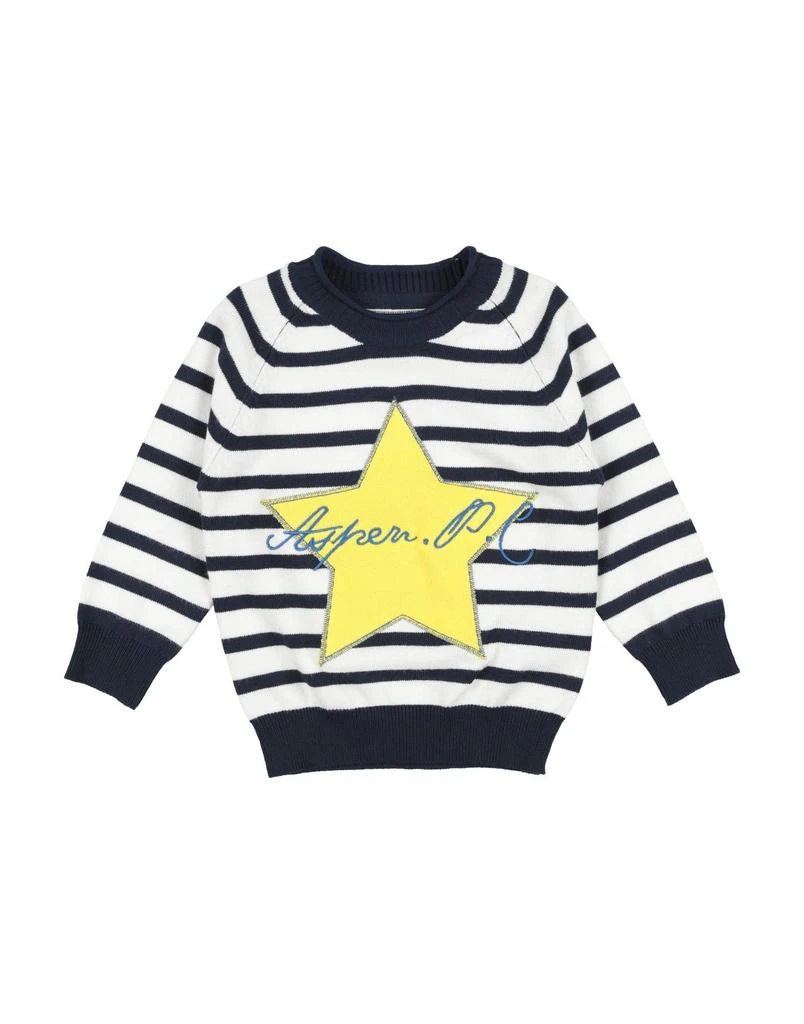 ASPEN POLO CLUB Sweater