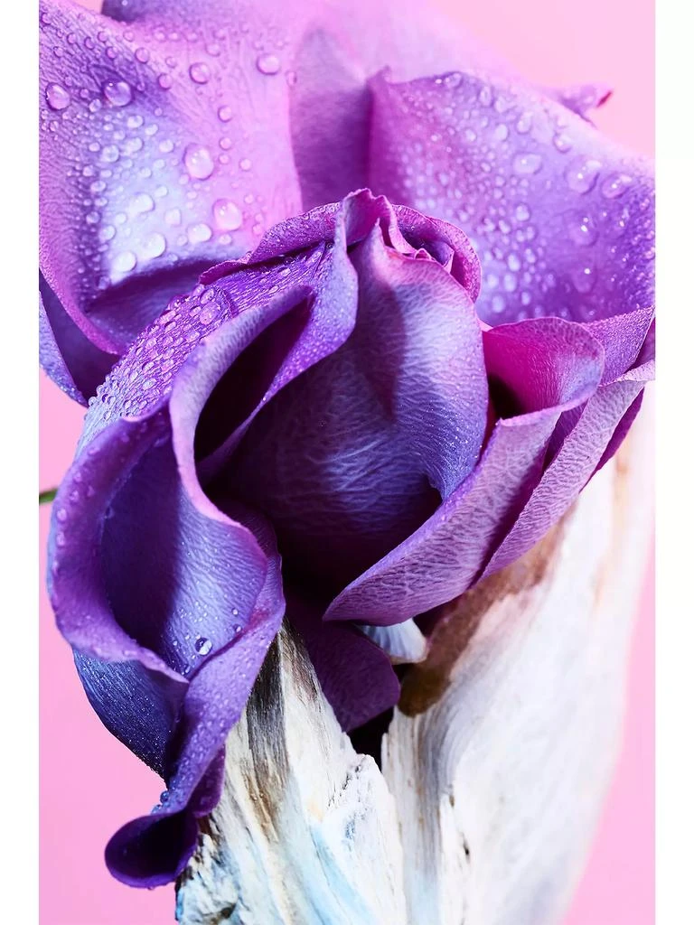BVLGARI Allegra Ma'magnifica Eau de Parfum 5