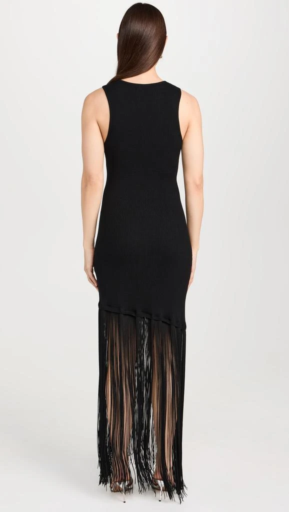 Le Superbe Fringe Hem Tank Dress 2