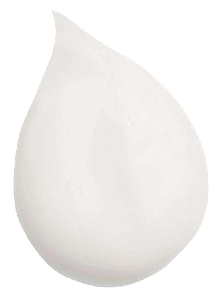 Sisley Hair Rituel Jumbo Revitalizing Volumizing Shampoo 2