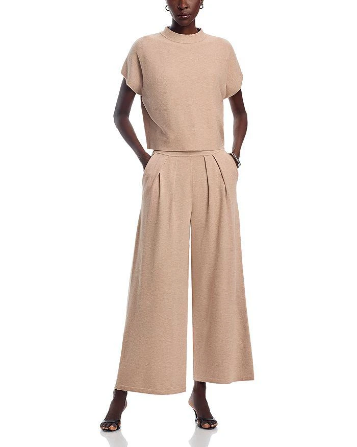 Sioni Short Sleeve Sweater Top
Pleated Waist Pants