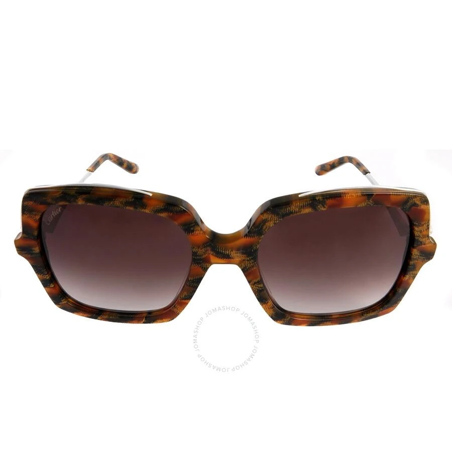 Cartier Cartier Brown Square Ladies Sunglasses CT0117S 003 54 1