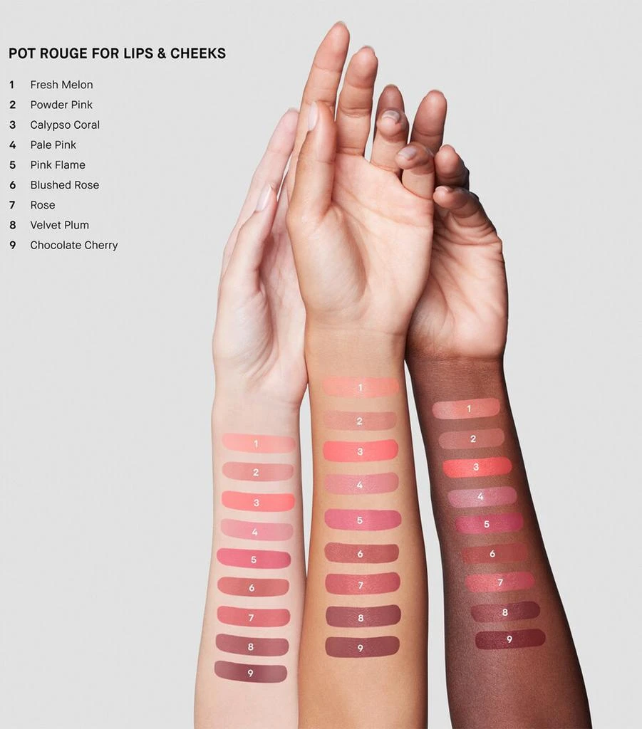 Bobbi Brown Pot Rouge 4