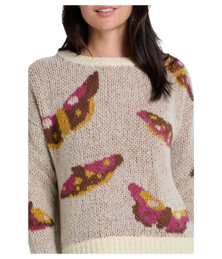 Toad & Co Cotati Dolman Sweater 3