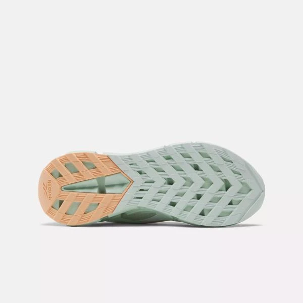 Reebok Zig Dynamica 5 Shoes 5