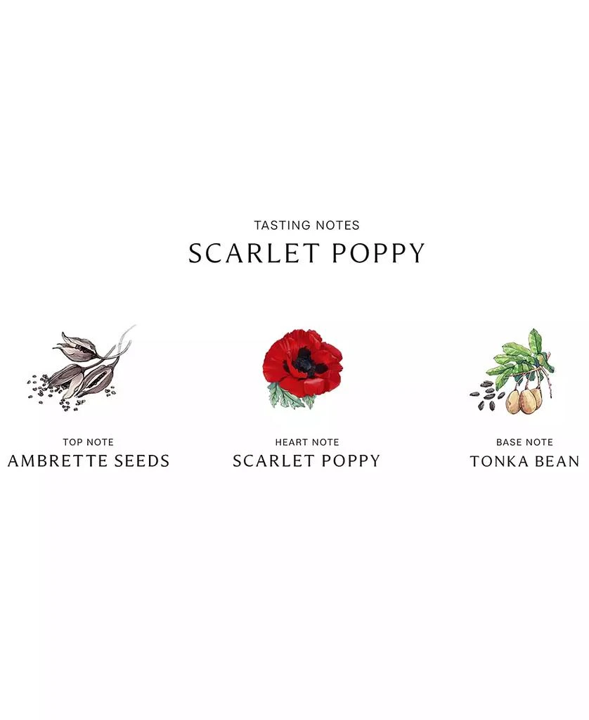Jo Malone London Scarlet Poppy Cologne Intense, 1.7 oz. 5