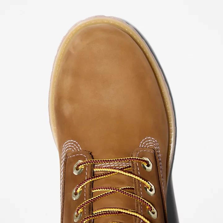 Timberland Women's Timberland® Premium 6-Inch Waterproof Boots in Brown 2