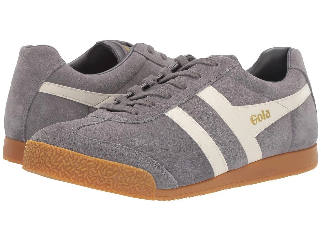 Gola Harrier 1