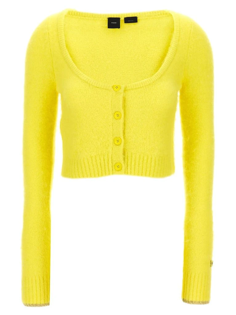 PINKO Pinko Colorpoint Cropped Cardigan 1