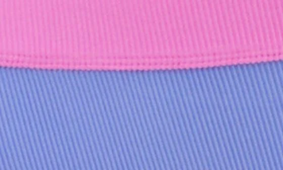 Beach Riot Emmy Colorblock High Waist Bikini Bottoms 5