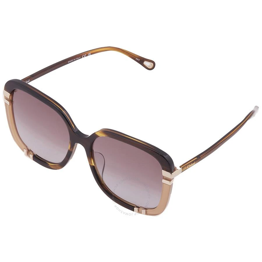 Chloé Brown Square Ladies Sunglasses CH0106SA 006 59 3