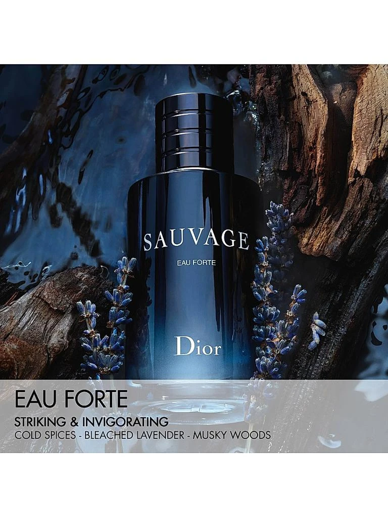 Dior Dior Sauvage Eau Forte Parfum 7