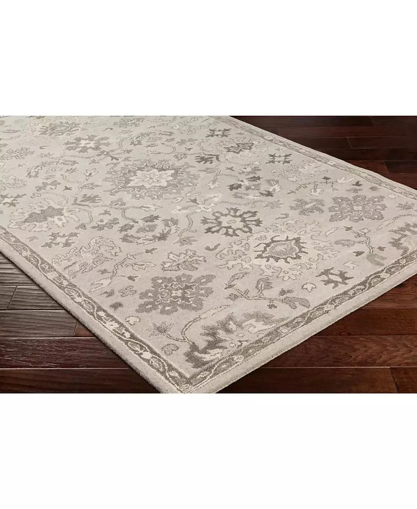 Surya Caesar CAE-1197 Taupe 2' x 3' Area Rug 2