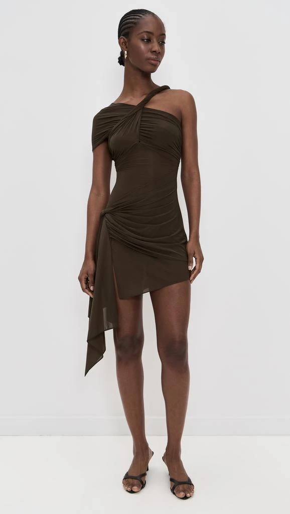 Ronny Kobo Izel Dress 6