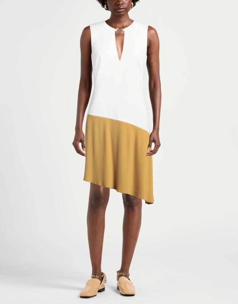 BARBARA BUI Midi dress 2