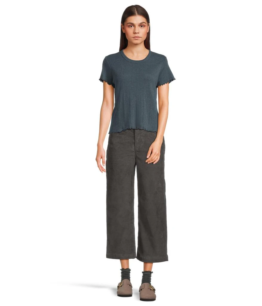 Toad & Co Foothill Pointelle Short Sleeve Baby Tee 5