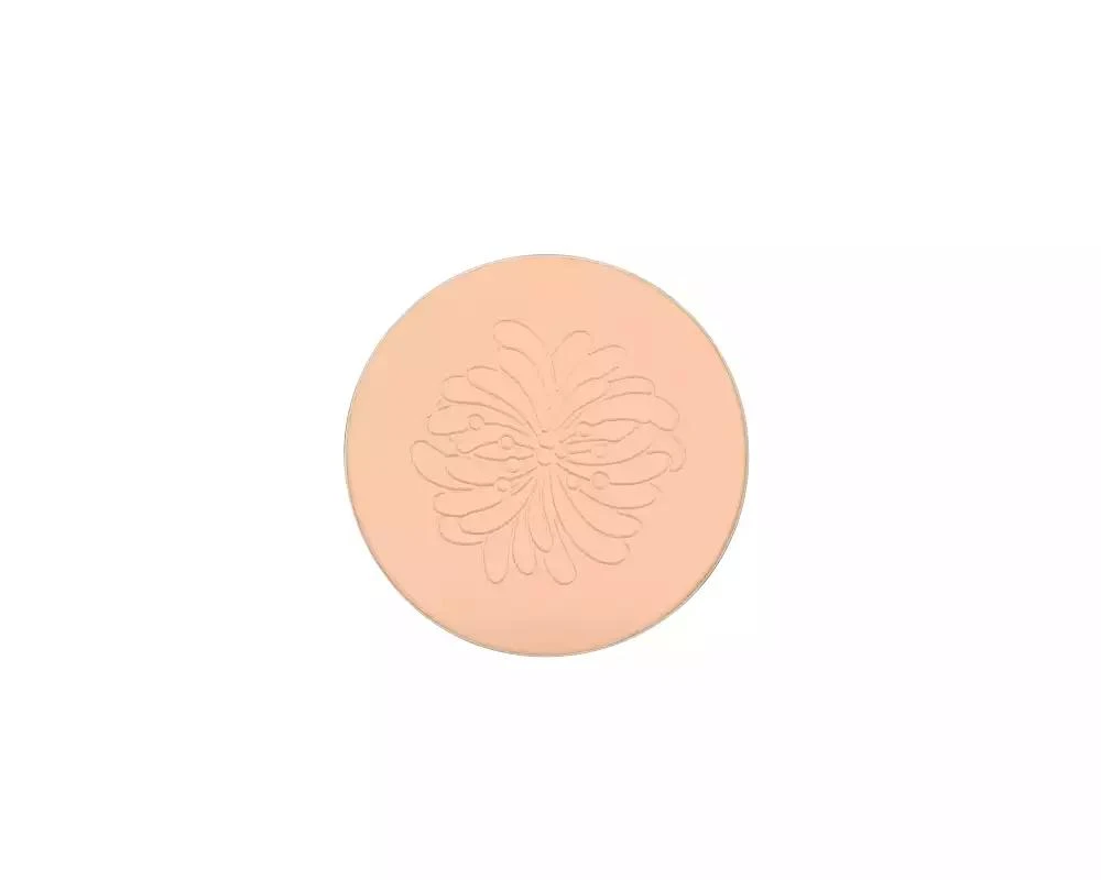 Paul 
Joe Setting Powder (REFILL) 02