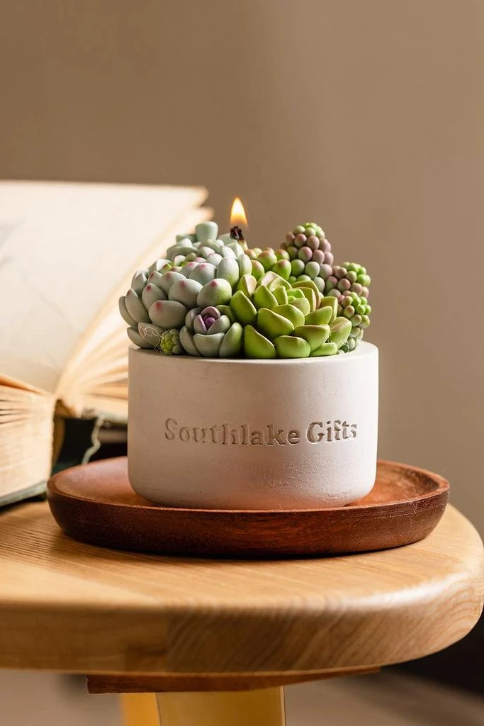 Southlake Gifts Southlake Gifts Assorted Succulent Candle 2
