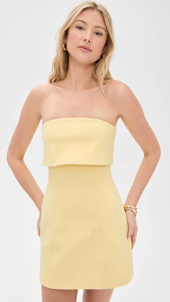 Misha The Jemma Sateen Mini Dress 6