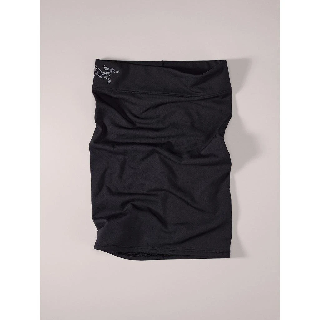 Arc'teryx Arc'teryx Rho Neck Gaiter Long | Versatile Warm Microfleece Neck Gaiter 2