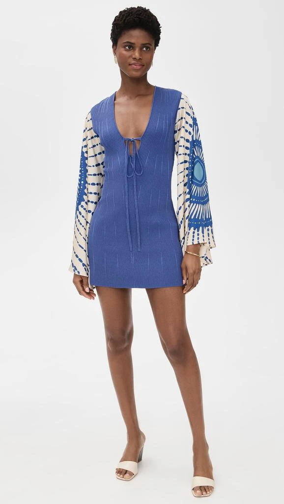 Alexis Lai Dress 4