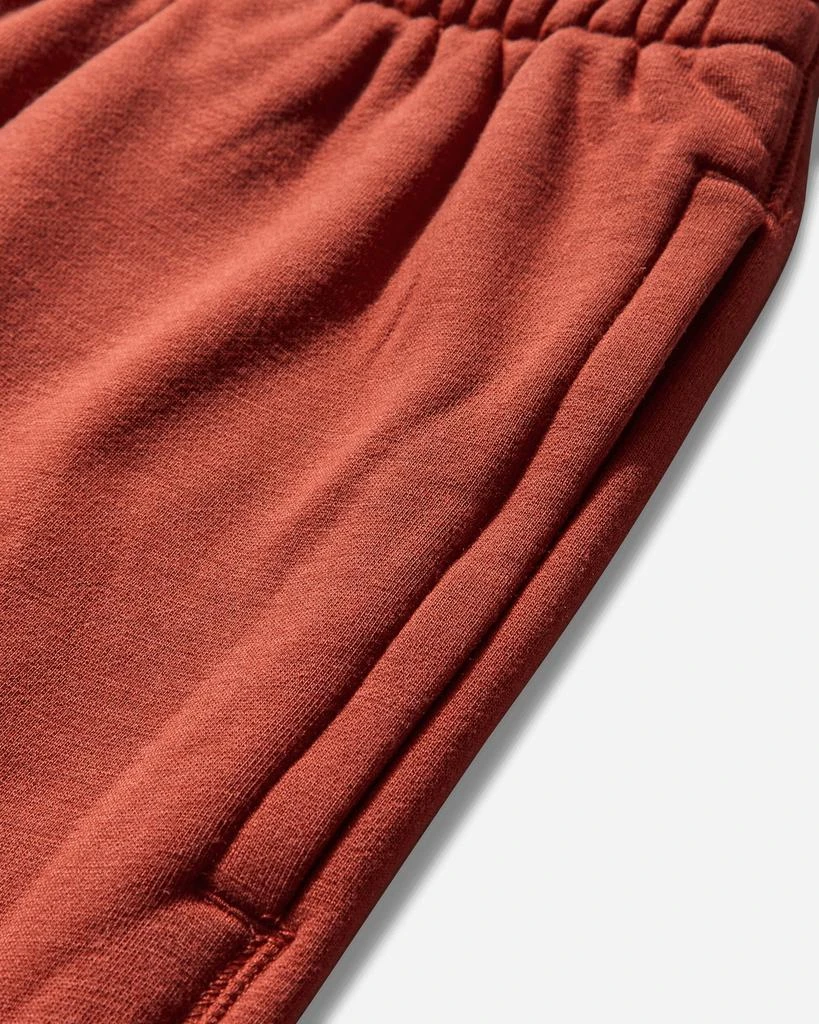 NIKE Men's Wool Classics Fleece Shorts Mars Stone 3