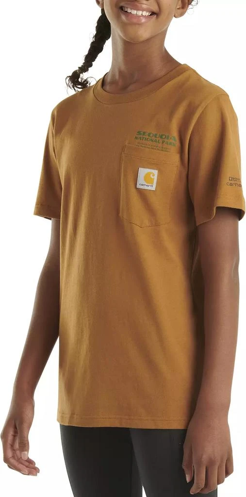 Carhartt Carhartt Boys' Sequoia National Park T-Shirt 6