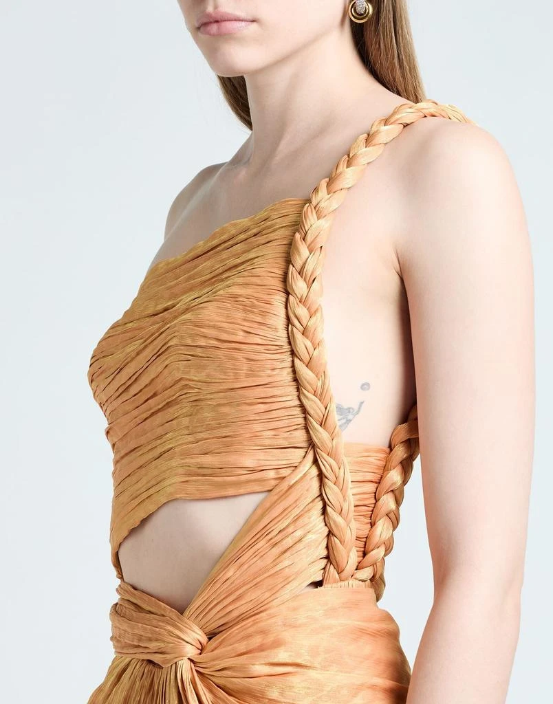 Costarellos Long dress 4