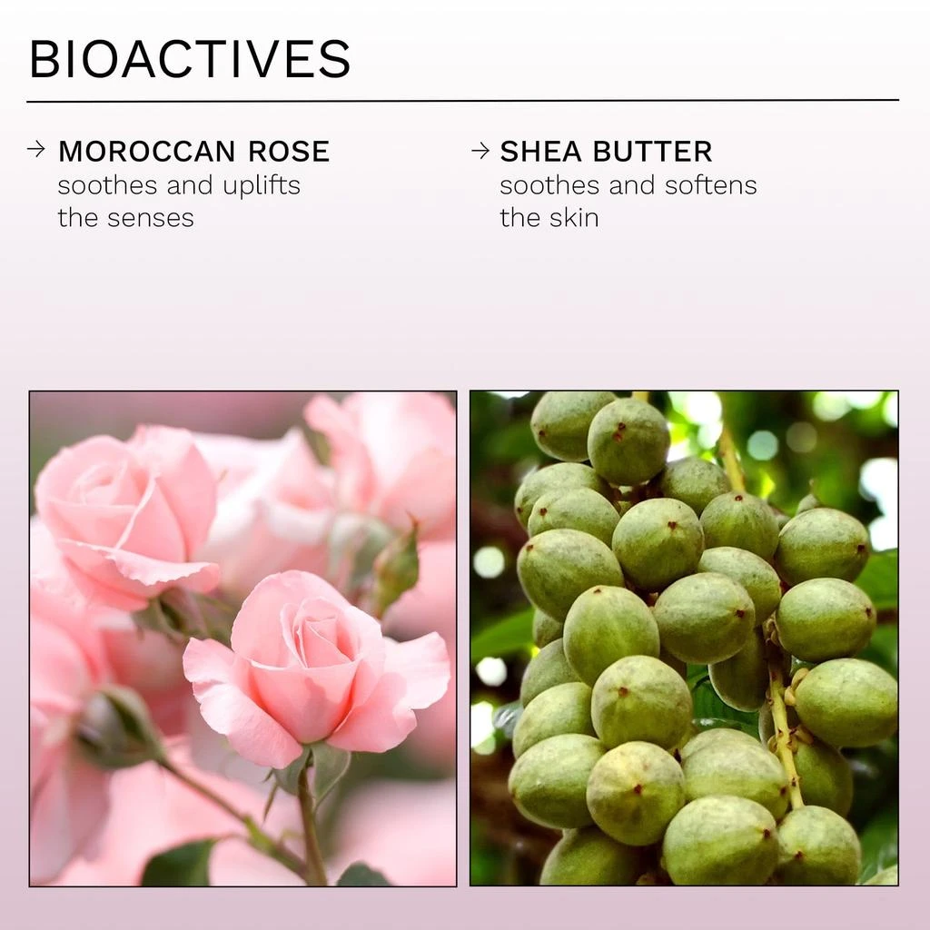 REN Clean Skincare Moroccan Rose Uplifting Body Duo 2