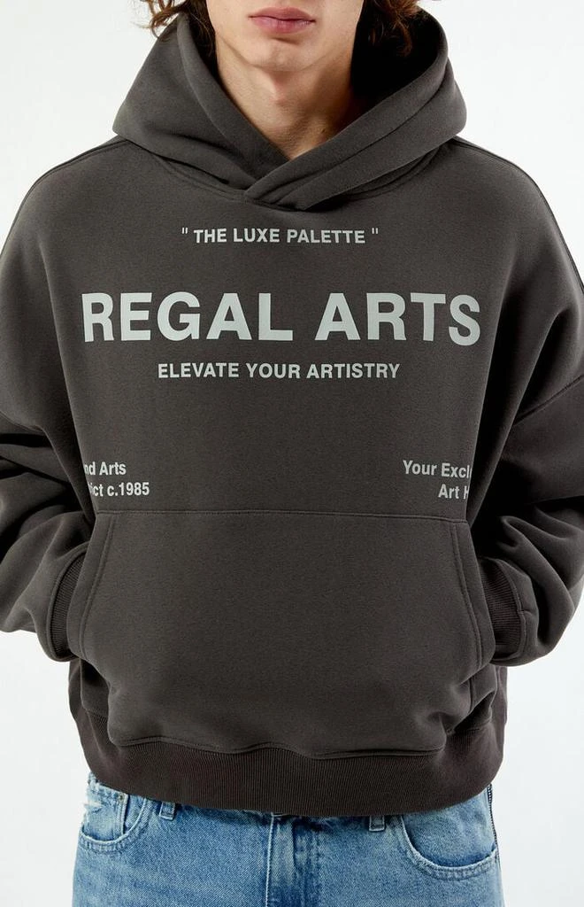 PacSun Regal Arts Cropped Hoodie 2