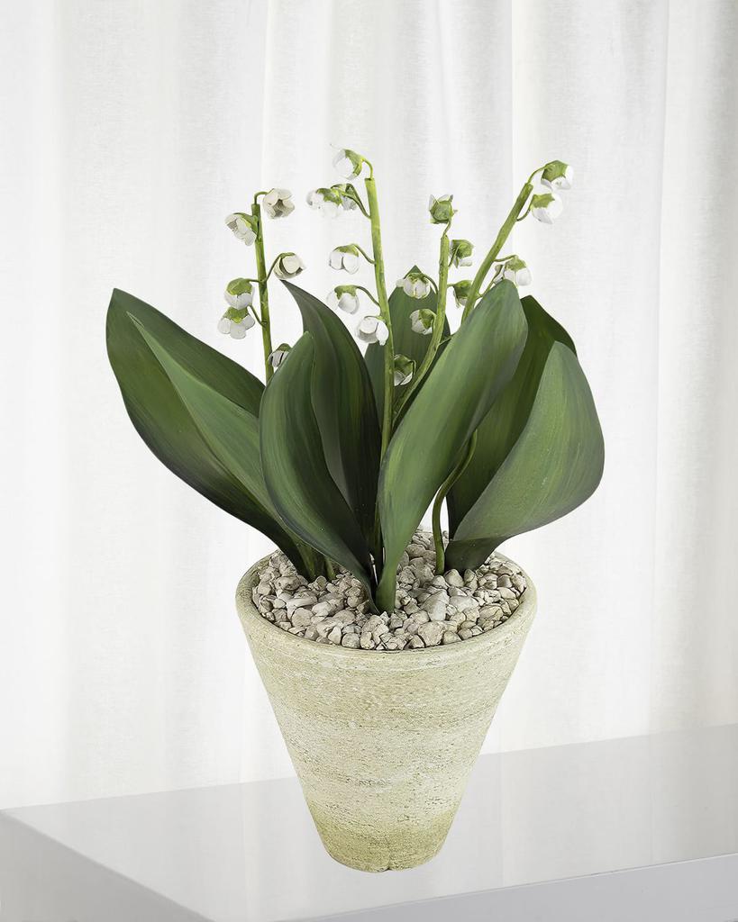 Tommy Mitchell Lily of the Valley May Birth Flower in White Terracotta Pot