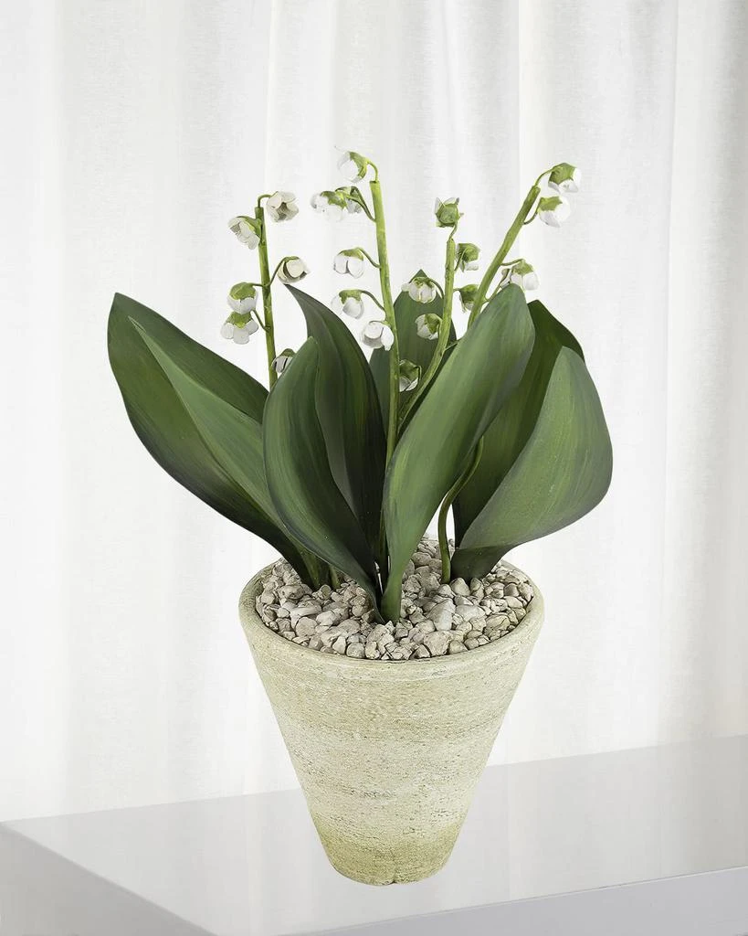 Tommy Mitchell Lily of the Valley May Birth Flower in White Terracotta Pot 1