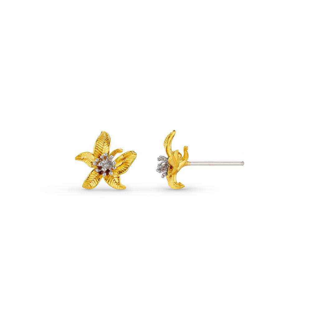 Orelia London Textured Flower Stud Earrings