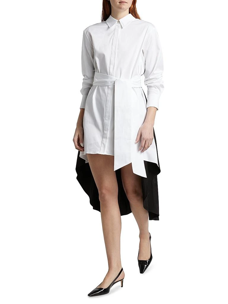 Toccin Ariella Fly Away Pleated Shirtdress 2