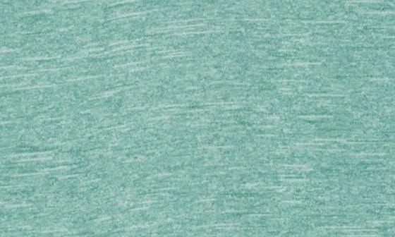 NIKE Sleeveless Hydroguard Swim Shirt 4