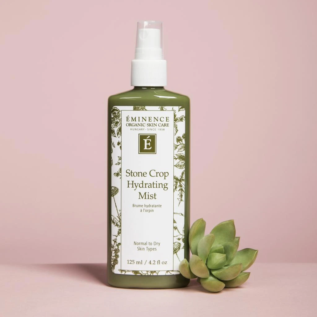 Eminence Organic Skin Care Eminence Organic Skin Care Stone Crop Hydrating Mist 4.2 fl. oz 2