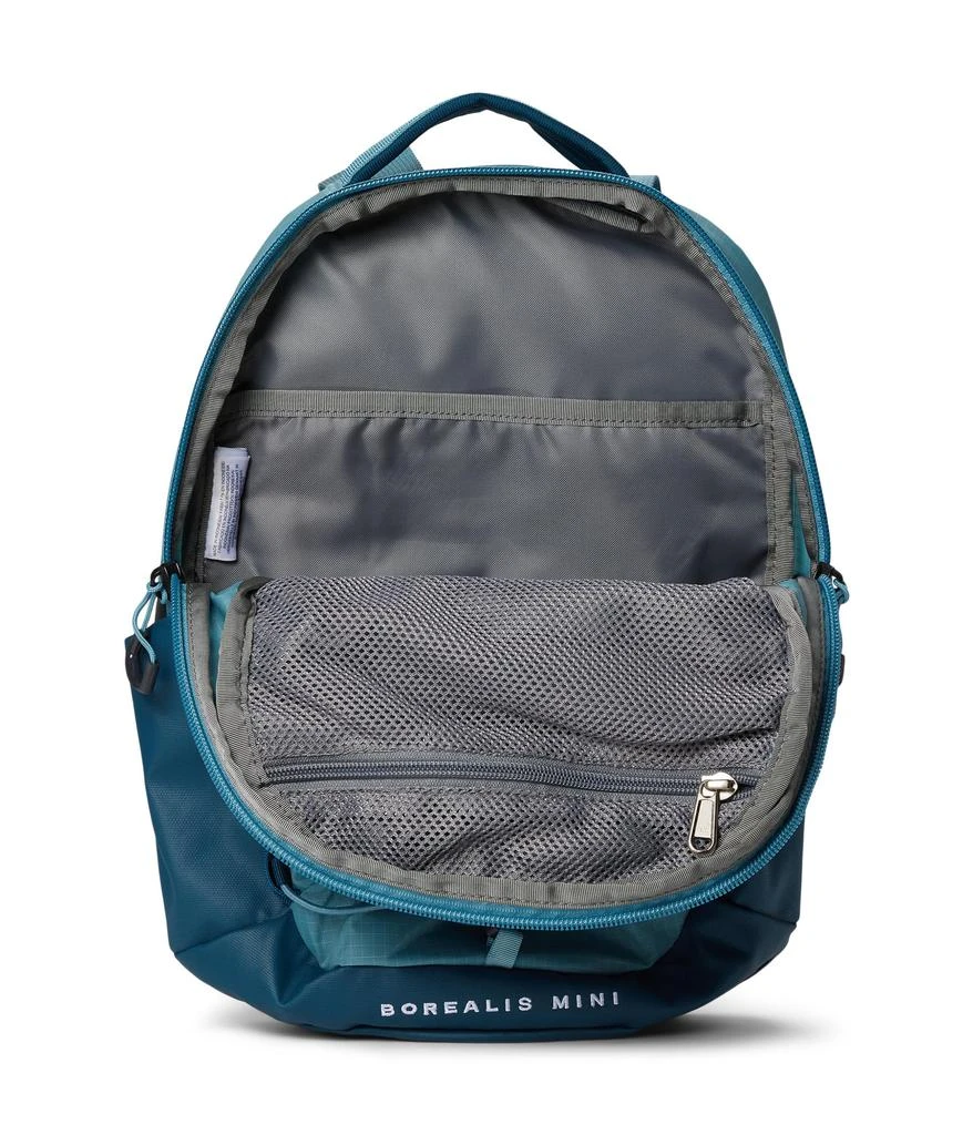 The North Face Borealis Mini Backpack 3