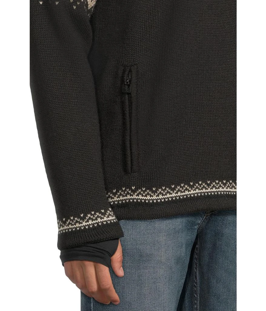 Dale of Norway Vail WP Masc Sweater 4