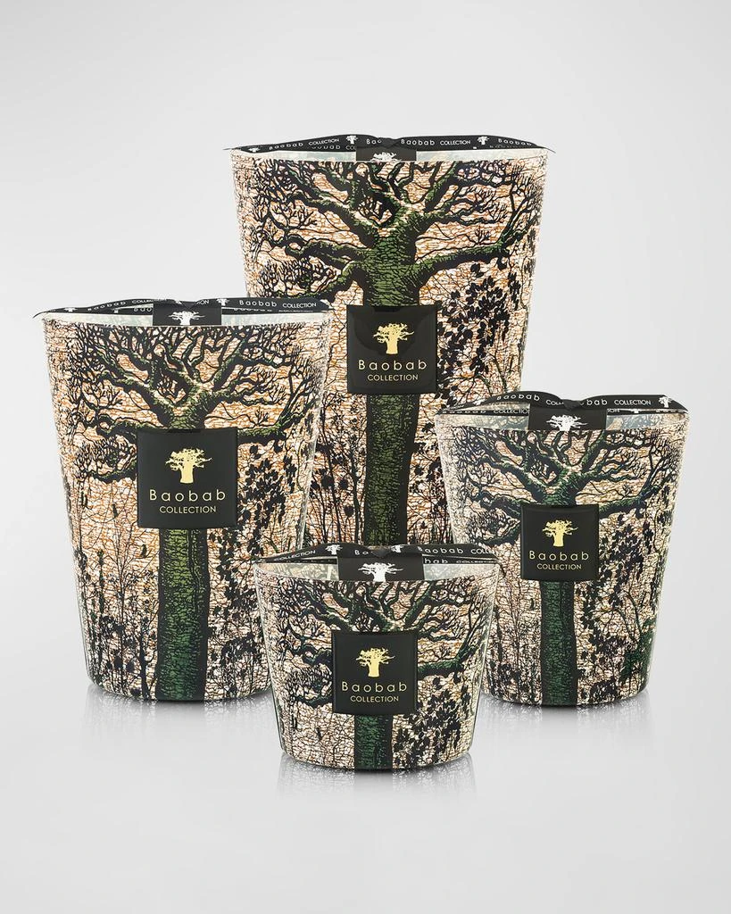 Baobab Collection Sacred Trees Kani 7-Wick Max35 Candle