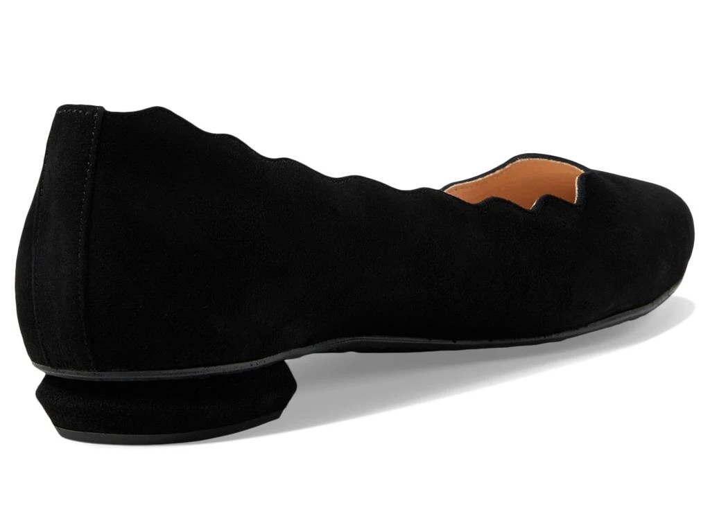 French Sole Tequila 5