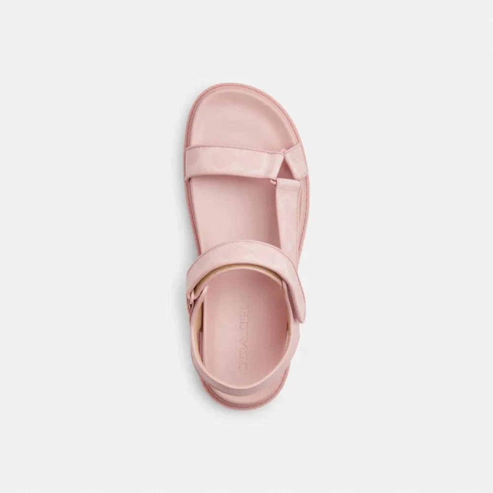 Coach Sport Sandal In Signature Canvas 4