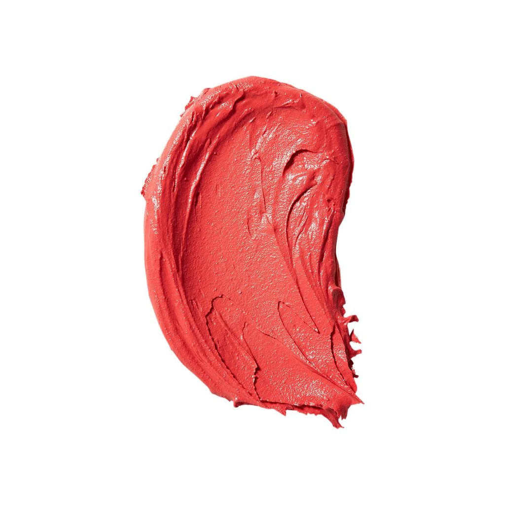 Jillian Dempsey Cheek Tint 6
