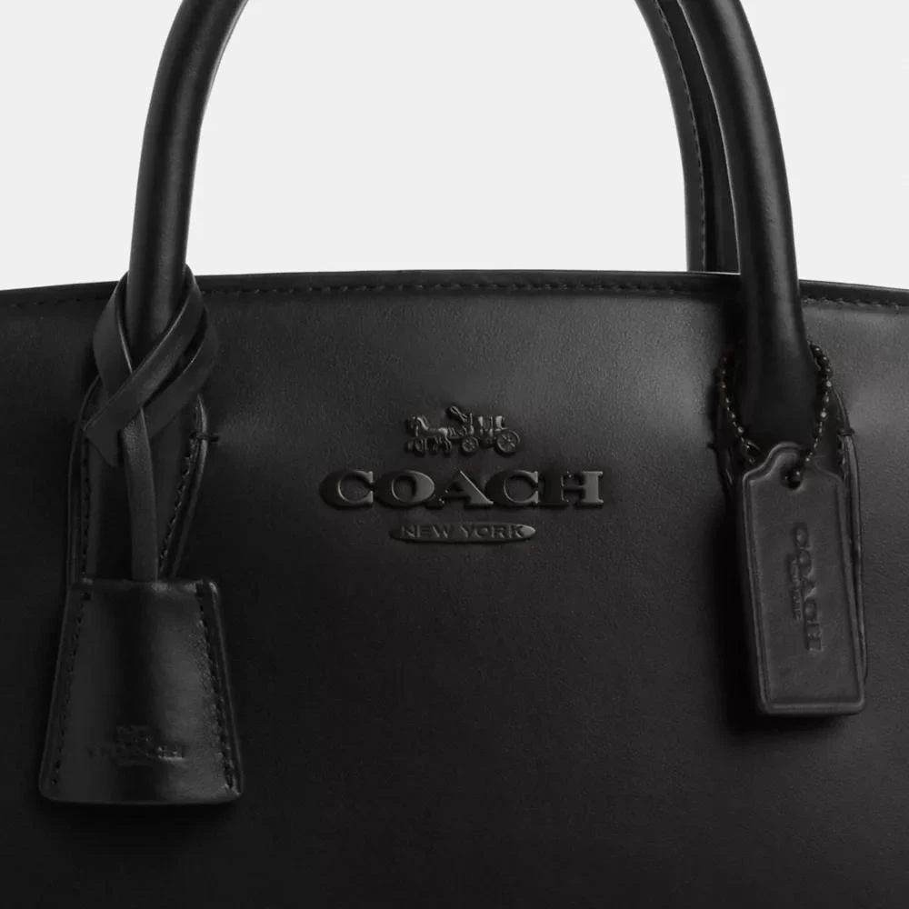 Coach Andrea Carryall Bag 9