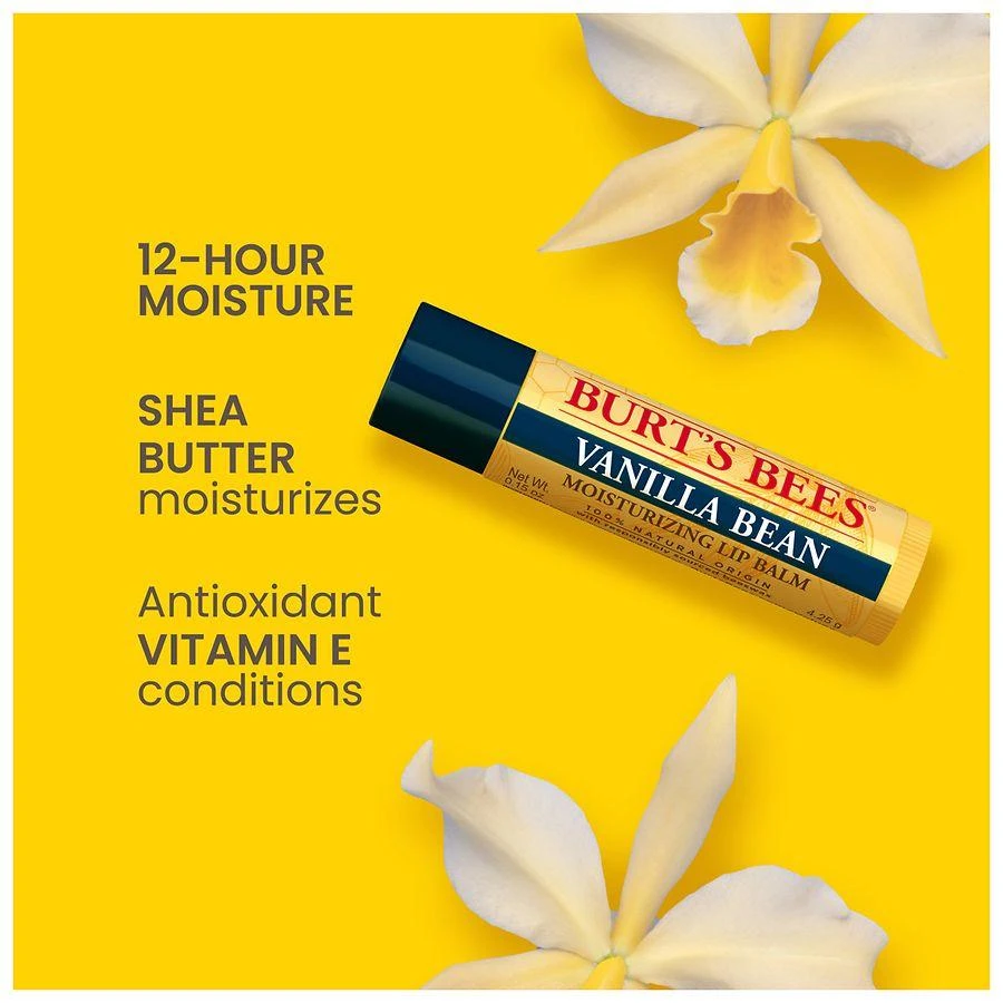 Burt's Bees Lip Balm Vanilla Bean 6